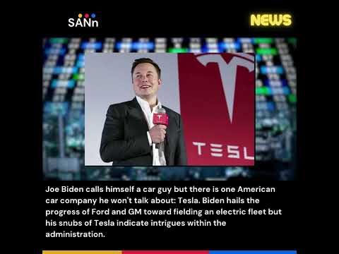 Joe Biden a damp sock puppet in human form, says Elon Musk