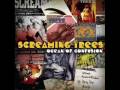 Screaming Trees - Ocean of Confusion 