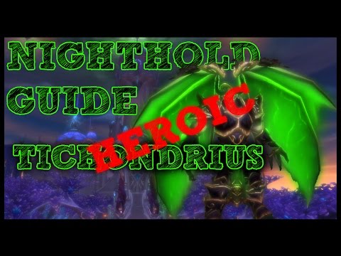 Heroic Tichondrius - Nighthold Strategy