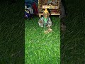 Shyama Aan Baso Vrindavan Mein Laddu Gopal New Status Video