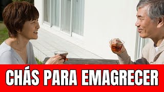 EMAGRECER COM 5 CHÁS / BENEFÍCIOS DOS CHÁS QUE AJUDAM  NO EMAGRECIMENTO