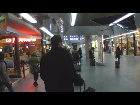 Geneva Airport Train from Main Rail Station Gare Cornavin