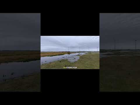 JUNDIA TRAIRA COM CHUVA OSÓRIO RS #acampamentoraiz  #aventura #pescaria #pescaesportiva #isca