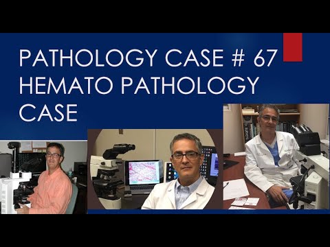 Pathology Case 67