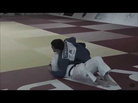 beka gviniashvili georgian lion