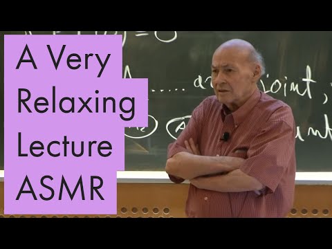 Unintentional ASMR | Marvin Minsky gives a super relaxing lecture on Mathematics for MIT