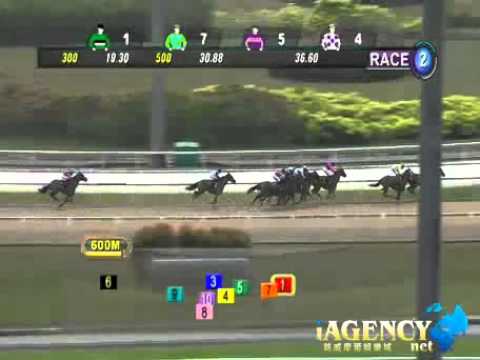 SINGAPORE RACE 26/01/2014 RACE 2 - iAgencyNet.com