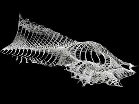 Alka Rex - Gestalt Shifts