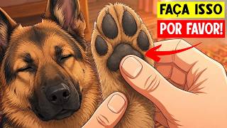 As 7 provas de amor que seu cachorro espera de você por TODA A VIDA dele!