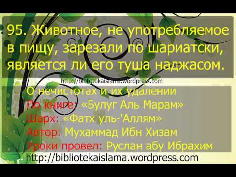 95  Животное, не употребляемое в пищу, зарезали по шариатски, является ли его туша наджасом