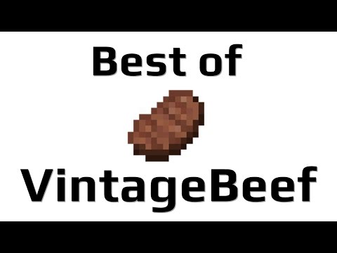 Best of VintageBeef