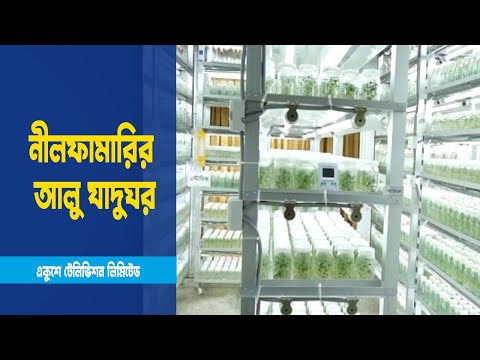 নীলফামারির আলু যাদুঘর ভূমিরা রাখছে গবেষণা ও চাষে