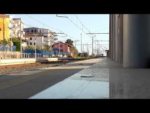 FB 8878 a Marcellina