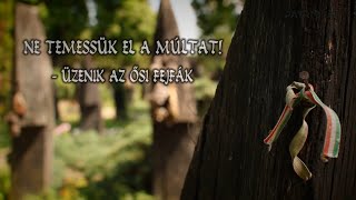 Ne temessük el a múltat! – Üzenik az ősi fejfák