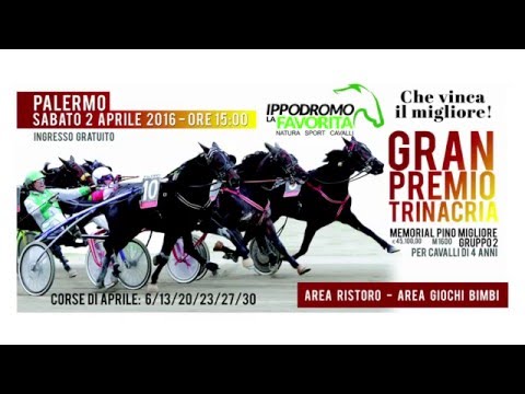 Sabato 2 Aprile 2016 Gran Premio Trinacria "Mem. Pino Migliore"