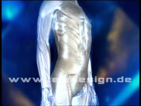 B 051 Rolfing - SD PAL/ B 051 Myofascial system  - SD PAL