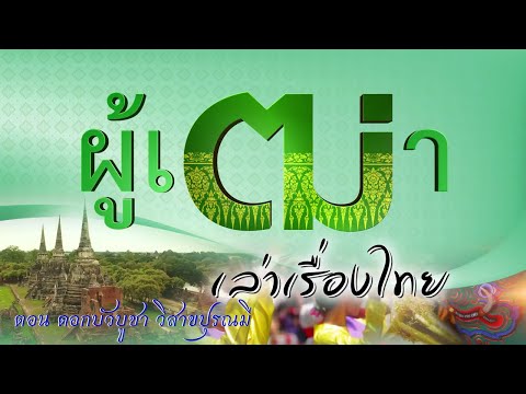 ภาพประกอบ วีดิทัศน์