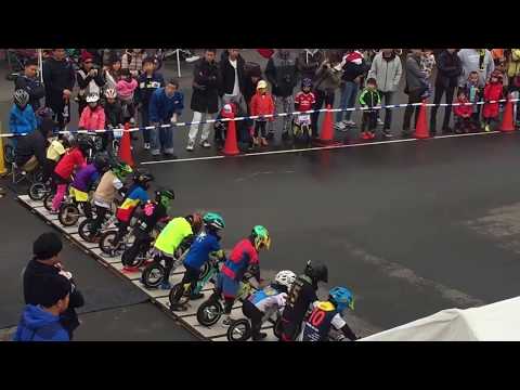 Carrera final de Strider Racing en Japón, en la Sexta Wild Runner Cup.