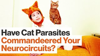 How Parasites Commandeer and Change Our Neurocircuits | Kathleen McAuliffe