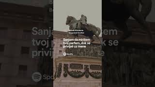 Beogradski Sindikat-Balada disidenta