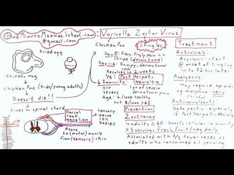 Shingles and Chicken Pox: Varicella Zoster Virus - One Minute Medical School