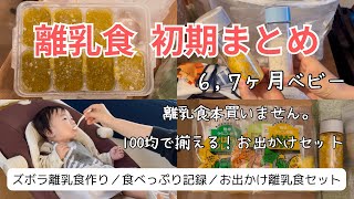 【離乳食初期まとめ】生後６ヶ月〜 離乳食の作り方・食べない日もある・お出かけ離乳食セットを100均で作る！【離乳食本は買わない】