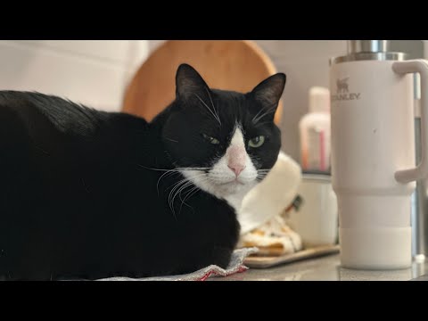 미미선생 자투리 모음집