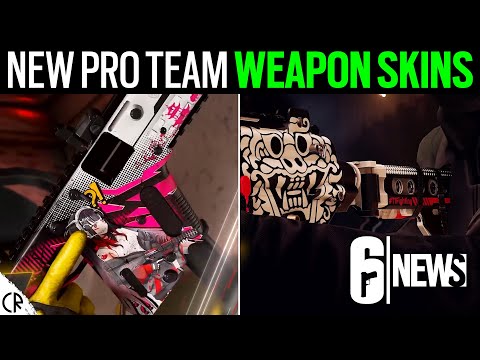 New Pro Team Weapon Skins - 6News - Tom Clancy's Rainbow Six R6 SHARE