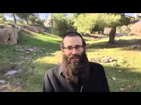 Reb Yoeli- Shabbos, eyes of pure good