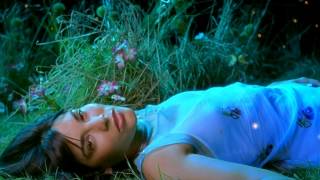 Way Out West feat. Tricia Lee Kelshall - Mindcircus (Original Radio Edit)