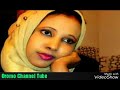 Taju Ahmed Siti Tole New Oromo Music 2017