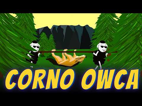 CORNO OWCA - Corno Owca (GÓRAL RAP)