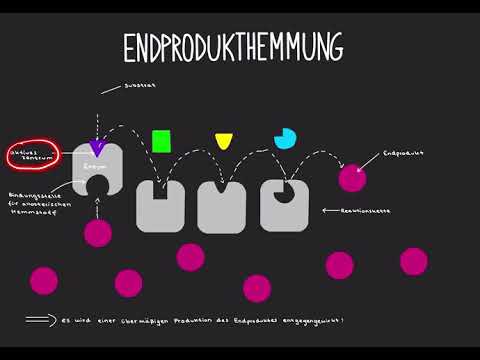 Endprodukthemmung