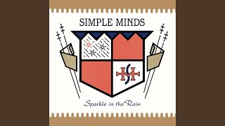 Book Of Brilliant Things (Remastered 2002)