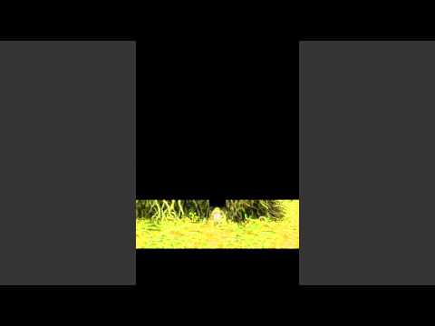 Final Fantasy III - Part 32