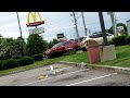 SEAGULLS SCAVENGING Seagull Mcdonalds