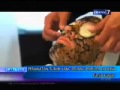 Galvanic Spa On Spotlite Trans7