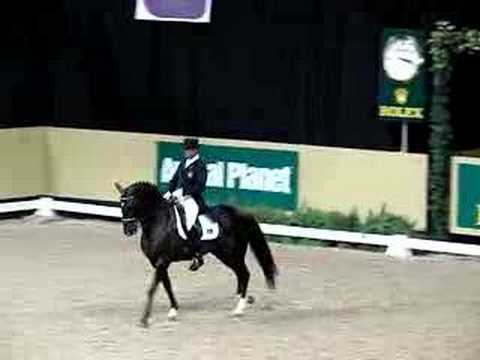 Daniel Pinto Dressage Freestyle