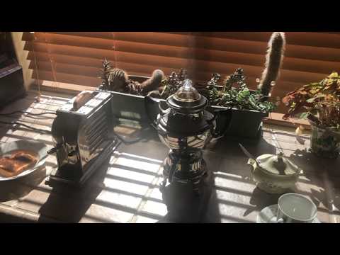 1920s Breakfast Time