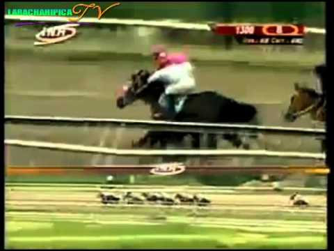 LA RINCONADA 8 CARRERA SABADO 23 DE AGOSTO DEL 2014