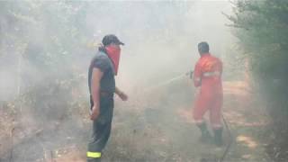 incendio-a-due-passi-dalle-case-paura-a-roccabascerana-video