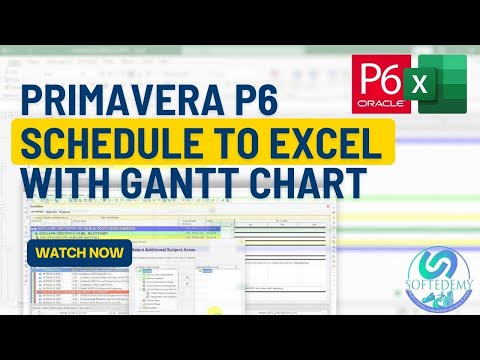 Convert Primavera P6 Schedule to Excel Timeline Project Plan in Excel with Gantt Chart from P6