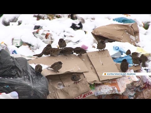 «Отходы и расходы»: как мусорная реформа меняет жизнь в деревнях и селах края