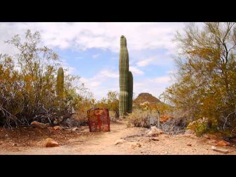 TWVS Episode 8 - Travel Typewriters