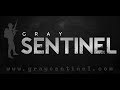 What is Gray Sentinel