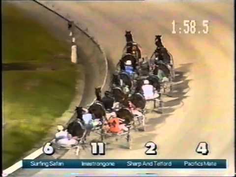 1996 Australian Derby harness race