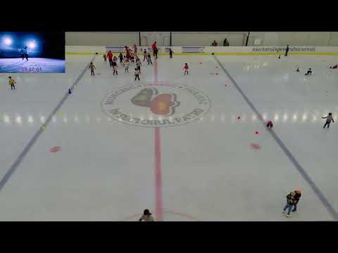 Campionatul National de Seniori