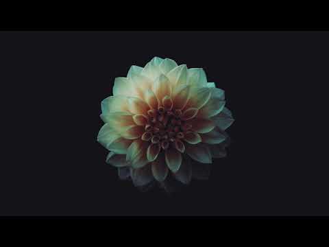 Max Richter - Luminous - YouTube