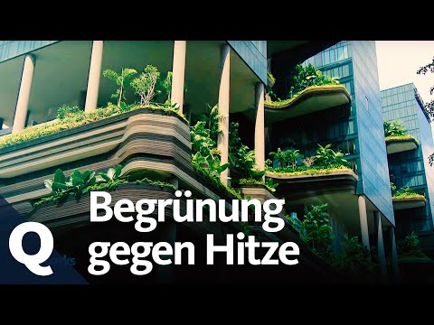 , title : 'Wie der Klimawandel Städte aufheizt und wie Urban Gardening das ändern kann | Quarks'