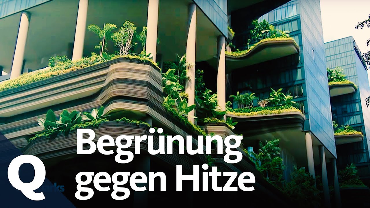 youtube video id=QhcDkbWxDug